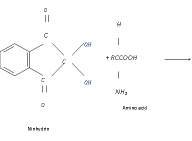 549_test of proteins.png